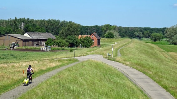 Radfahrer auf dem Elbdeich im Wendland. © NDR Foto: Kathrin Weber