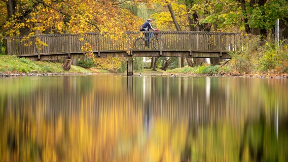 Ein Radfahrer überquert eine Brücke über den Magnusgraben am Französischen Garten in Celle. © picture alliance/dpa Foto: Sina Schuldt
