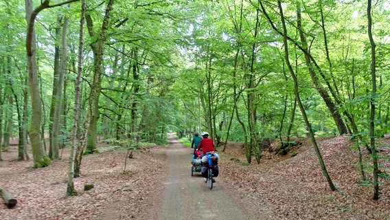 Zwei Radfahrer auf einem Wald-Abschnitt des Ostseeküsten-Radwegs auf Usedom. Zwei Radfahrer auf einem Wald-Abschnitt des Ostseeküsten-Radwegs auf Usedom. © NDR Foto: Katja Bülow