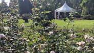 Garten-Anlage im Rosarium Uetersen © NDR Foto: Nathalie Komaromi
