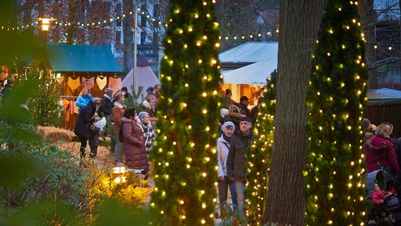 Weihnachtsmarkt im Kurpark von Binz. © Kurverwaltung Ostseebad Binz Foto: Pocha-Burwitz