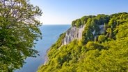 Blick auf die Kreidefelsen auf der Insel Rügen. © picture alliance Foto: Jens Koehler