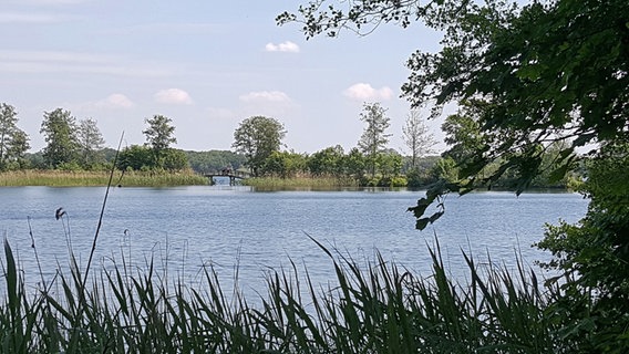 Eine Holzbrücke führt über einen Damm, der zwischen Kirchen- und Schaalsee liegt. © NDR Foto: Kathrin Weber