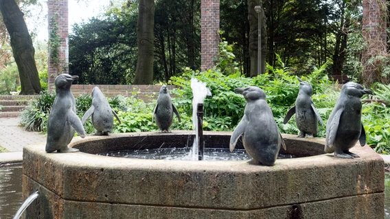 Sechs bronzene Pinguinskulpturen stehen auf einem Brunnen im Hamburger Stadtpark.  Foto: Anja Deuble
