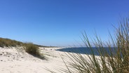 Blick auf den Strand bei dem Ellenbogen von List auf Sylt © NDR Foto: Gitte Alpen