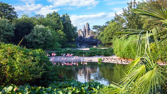 Afrika-Panorama mit Flamingos am Wasser im Tierpark Hagenbeck in Hamburg. © Hagenbeck Foto: Lutz Schnier