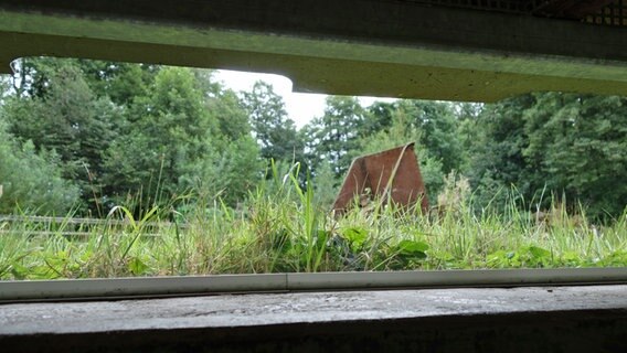 Blick durch einen Sehschlitz auf das Nerzgehege im Otterzentrum Hankensbüttel. © NDR Foto: Kathrin Weber