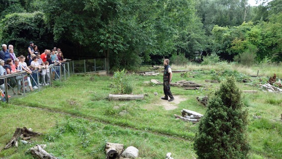 Besucher stehen im Otterzentrum Hankensbüttel vor dem Gehege der Hermeline. © NDR Foto: Kathrin Weber