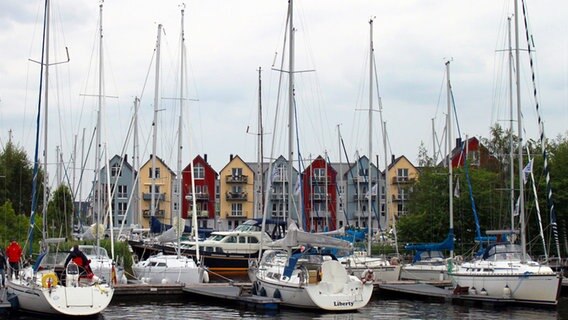 Segelboote liegen Yachthafen von Greifswald. © NDR Foto: Harald Ganswindt