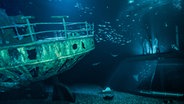 Das 2018 neu gestaltete Aquarium "Offener Atlantik" mit Schiffswrack im Ozeaneum Stralsund. © Ozeaneum Stralsund Foto: Christian Howe