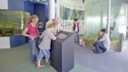 Mehrere Aquarien und Besucher im Biosphaerium Elbtalaue. © Biosphaerium Elbtalaue 