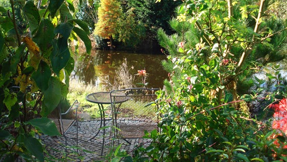 Sitzplatz am Wasser Blick im Arboretum Neuenkoop. © Arboretum Neuenkoop 