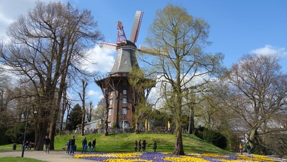 Windmühle in den Bremer Wallanlagen. © NDR Foto: Kathrin Weber