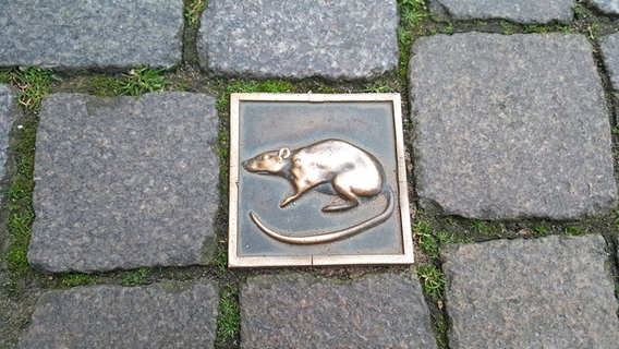 Eine kleine Metallplatte mit Rattenmotiv zwischen Pflastersteinen in der Altstadt von Hameln. © NDR Foto: Kathrin Weber
