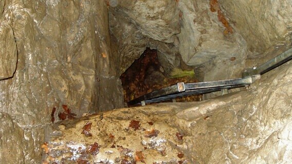 Leiter in der Lippoldshöhle im Glenetal © NDR Foto: Axel Franz