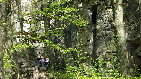 Blick durch Laubbäume auf die Lippoldshöhle im Glenetal © NDR Foto: Axel Franz