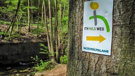 Wegweiser Ith-Hils-Weg an einem Baumstamm © NDR Foto: Axel Franz