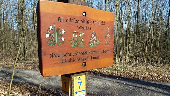 Ein Schild am  Schweineberg bei Hameln zeigt geschützte Pflanzen. © NDR Foto: Axel Franz