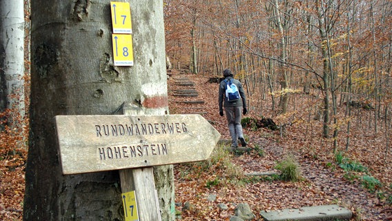 Ein Wanderer auf dem Weg zum Hohenstein im Süntel. © NDR Foto: Axel Franz