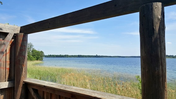 Blick auf den Schaalsee von einem Hochstand zur Vogelbeobachtung in Zarrentin. © NDR Foto: Kathrin Weber