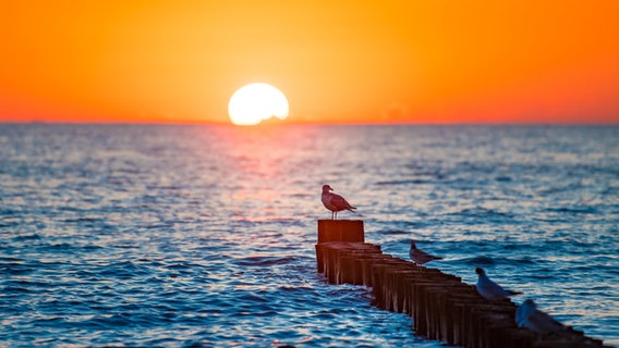 Sommersonnenwende 2023: Der längste Tag des Jahres