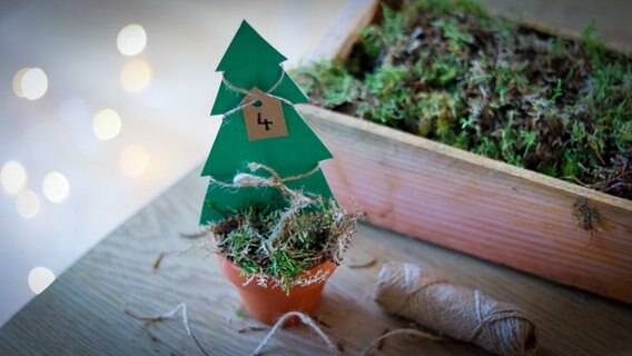 Ein kleiner gebastelter Tannenbaum aus Bastel-Karton in einem Mini-Topf, in dem Süßes steckt für einen Adventskalender © NDR Foto: Elke Janning