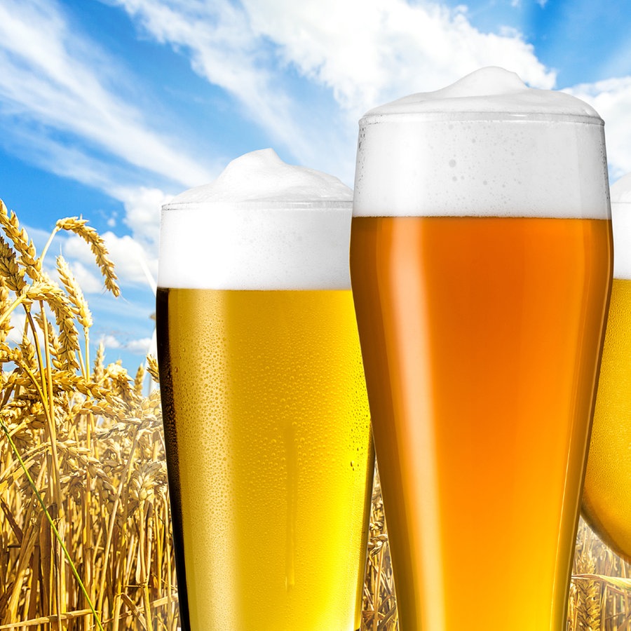 S8E3 SCIENCE SLAM Johannes Brunder: Warme Räume dank kaltem Bier?