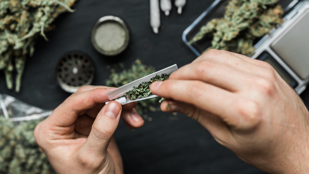 Cannabis : que signifie une légalisation partielle en Allemagne ?  |  NDR.de – Guide