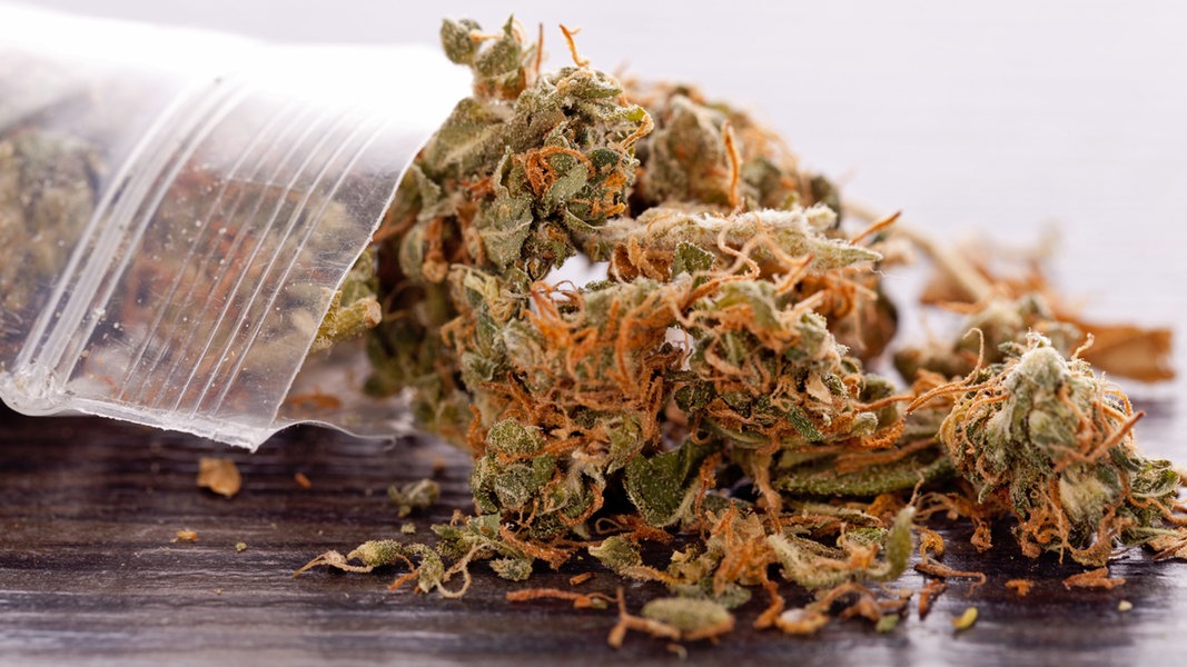 Cannabis in einem Plastiktütchen und auf einer Holzfläche.