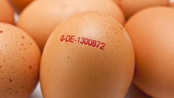 Braune Eier liegen zusammen, auf einem der Eier ist der Stempel zu sehen. © Stockfotos-MG/fotolia 