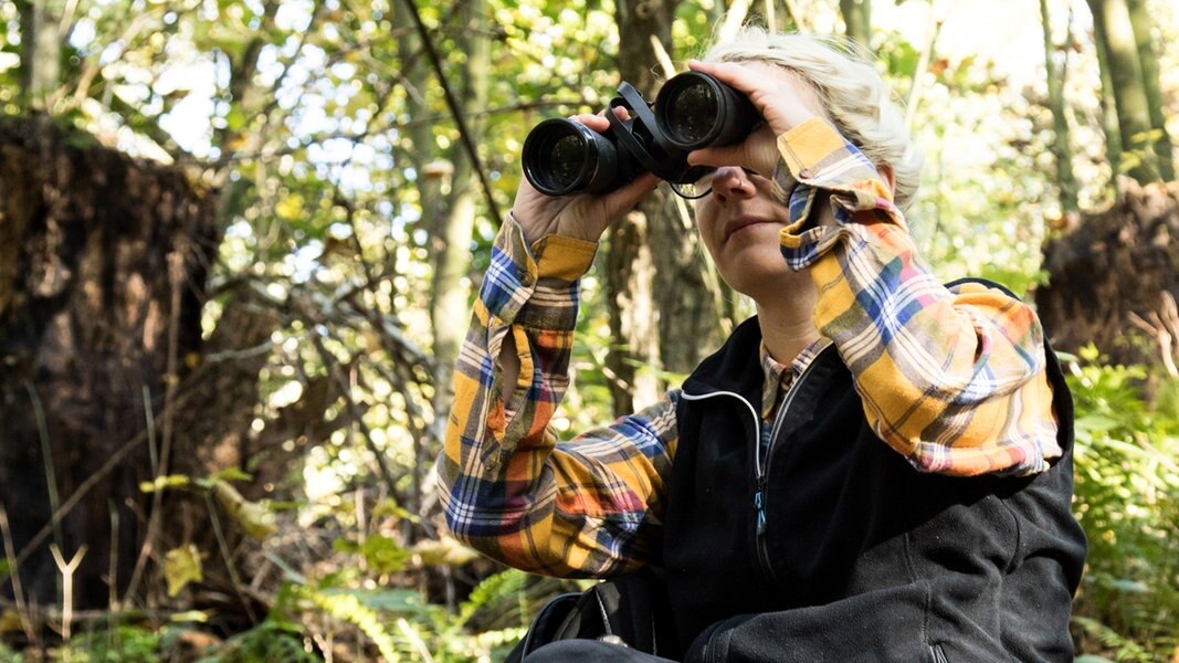 Buying binoculars: How to find the right model |  > – Guide