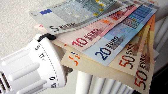 Euroscheine liegen auf einem Heizkörper © picture alliance Foto: Sven Simon