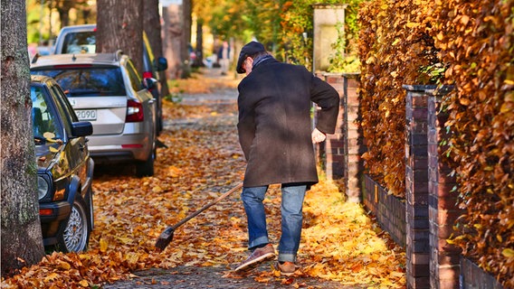 Ein Mann kehrt das Herbstlaub vom Gehweg. © picture alliance Foto: Wolfram Steinberg