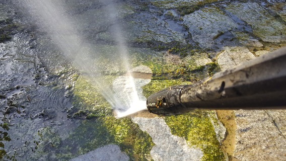 Ein Hochdruckreiniger spritzt einen Wasserstrahl auf Steinplatten mit Grünspan. © picture alliance Foto: fotototo