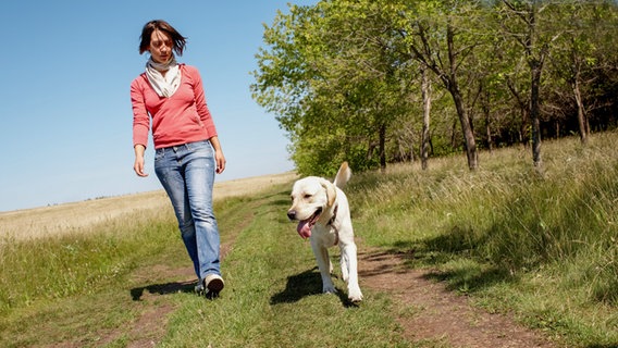 Eine Frau geht mit einem Golden Retriever in der Natur spazieren. © Colourbox Foto: Pressmaster