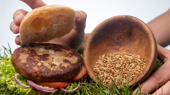 Ein Burger-Patty aus Insekten neben einer Schale mit Buffalowürmern © picture-alliance/dpa Foto: Ingo Wagner