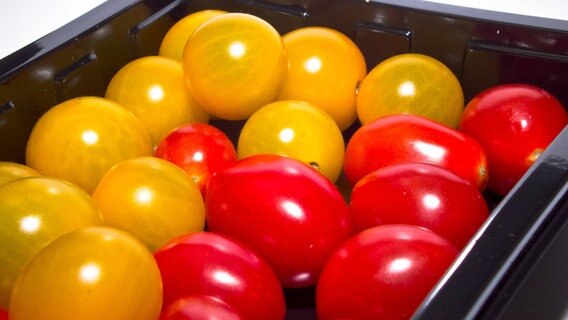 Gelbe und rote Mini-Tomaten liegen in einer schwarzen Plastikschale. © imago Foto: CHROMORANGE