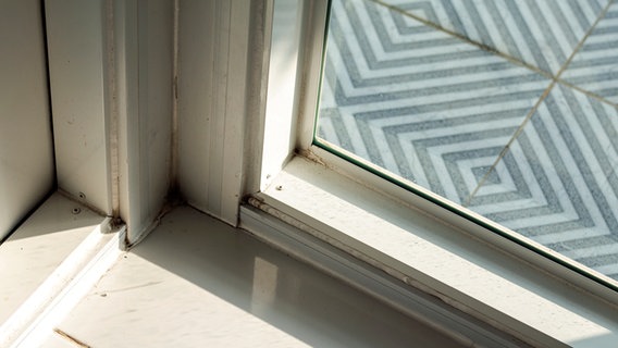 Schimmel an einem Fenster © Colourbox Foto: Pairoj Ponglerdnadda