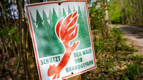 Ein an einem Baumstamm befestigtes Schild mit der Aufschrift "Schützt den Wald vor Brandgefahr" und einem Eichhörnchen mit rotem Schwanz, der an eine lodernde Flamme erinnert © picture alliance/dpa | Stefan Sauer 