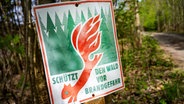 Ein an einem Baumstamm befestigtes Schild mit der Aufschrift "Schützt den Wald vor Brandgefahr" und einem Eichhörnchen mit rotem Schwanz, der an eine lodernde Flamme erinnert © picture alliance/dpa | Stefan Sauer 
