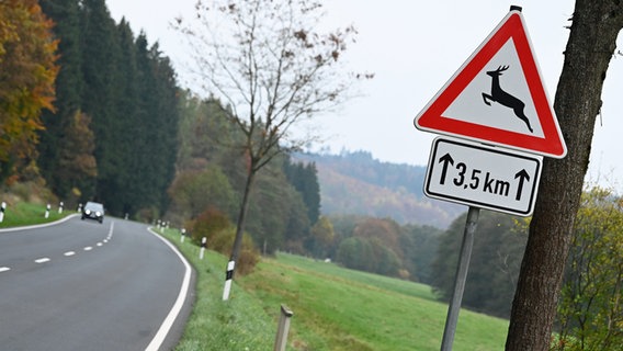 Ein Verkehrszeichen "Vorsicht Wildwechsel" steht an einer Landstraße. © dpa-Bildfunk Foto: Swen Pförtner