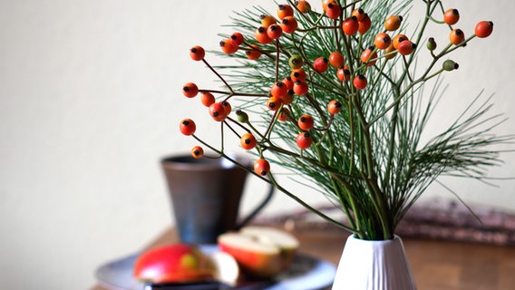 Eine Vase mit Hagebutten und einem Seidenkiefer-Zweig steht auf einem Tisch.  Foto: Anja Deuble