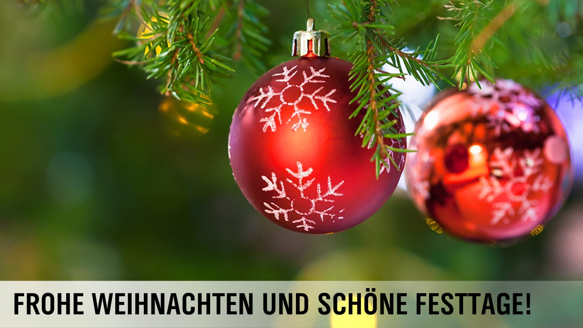 Zwei rote Weihnachtskugeln hängen in einem Weihnachtsbaum. © Panthermedia Foto: Valery Vvoennyy