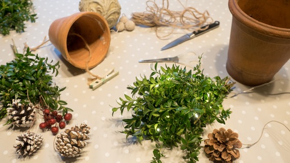 Mit Lichterketten Weihnachtsstimmung zaubern NDR.de