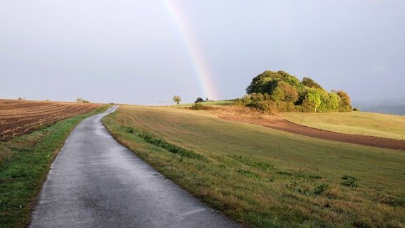 Ein Regenbogen leuchtet nach dem Regen am Ende einer Landstraße. Ein Regenbogen leuchtet nach dem Regen am Ende einer Landstraße. © Photocase Foto: Madeby