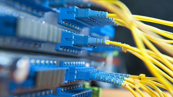 Kabel die in einem Router stecken. © Fotolia Foto: xiaoliangge
