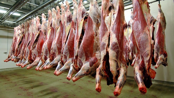 Rinderhälften hängen in einem Schlachthof. © dpa-Zentralbild Foto: Bernd Wüstneck