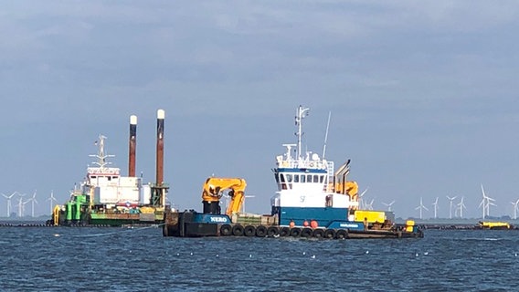 Zwei große Schiffe auf dem Wasser, im Hintergrund Windräder. © NDR Foto: Jörn Pietschke