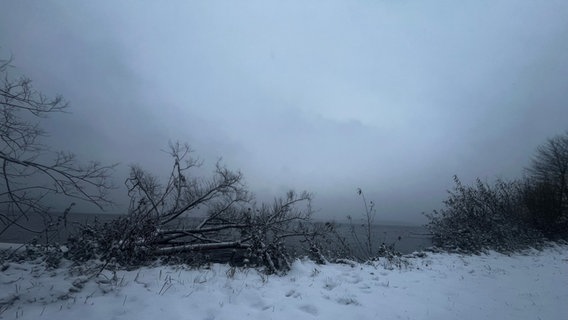 So romantisch kann grau in grau sein: Der Schweriner See im Schnee. © NDR 