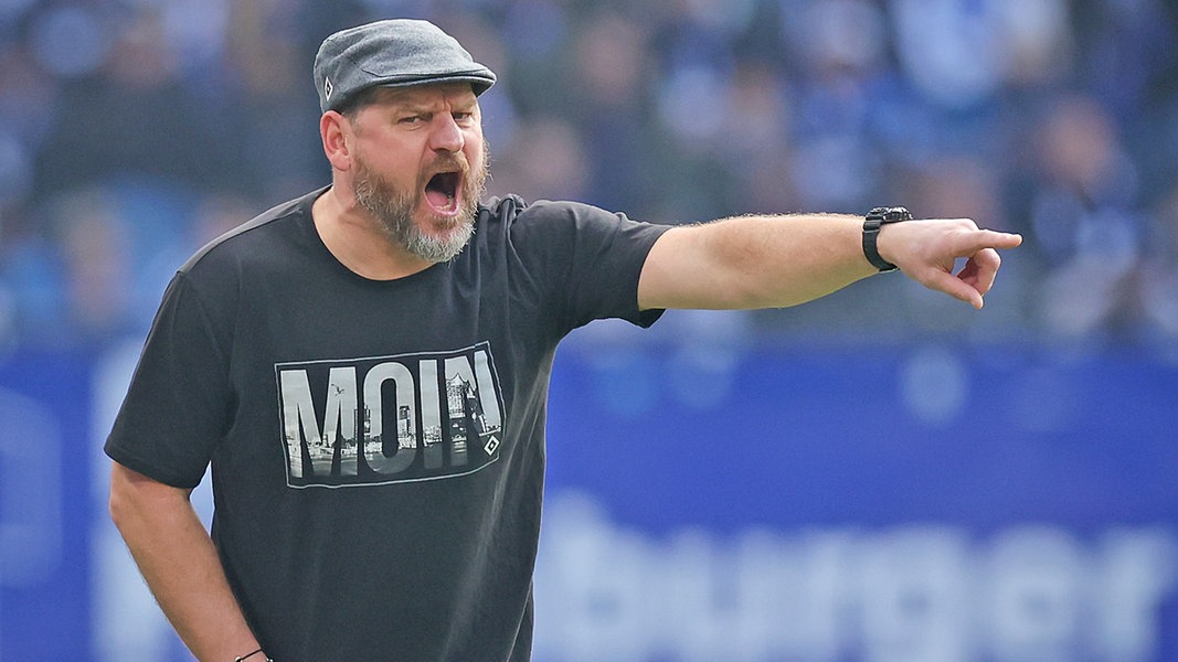 Po bankructwie Osnabrücka: trener HSV Baumgart chce wszystko kwestionować |  NDR.de – Sport